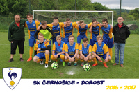 DOROST 2016-17